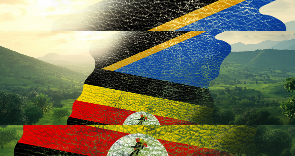 Discover how the Erasmus+ Xllence4LeatherAfric project is transforming the leather industry in Uganda and Tanzania through vocational training, sustainability, and centers of excellence to drive economic and social development.